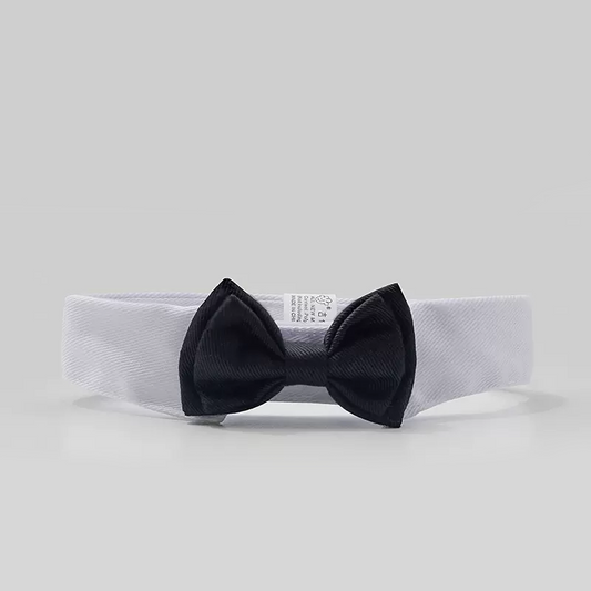 The Gentleman Bow