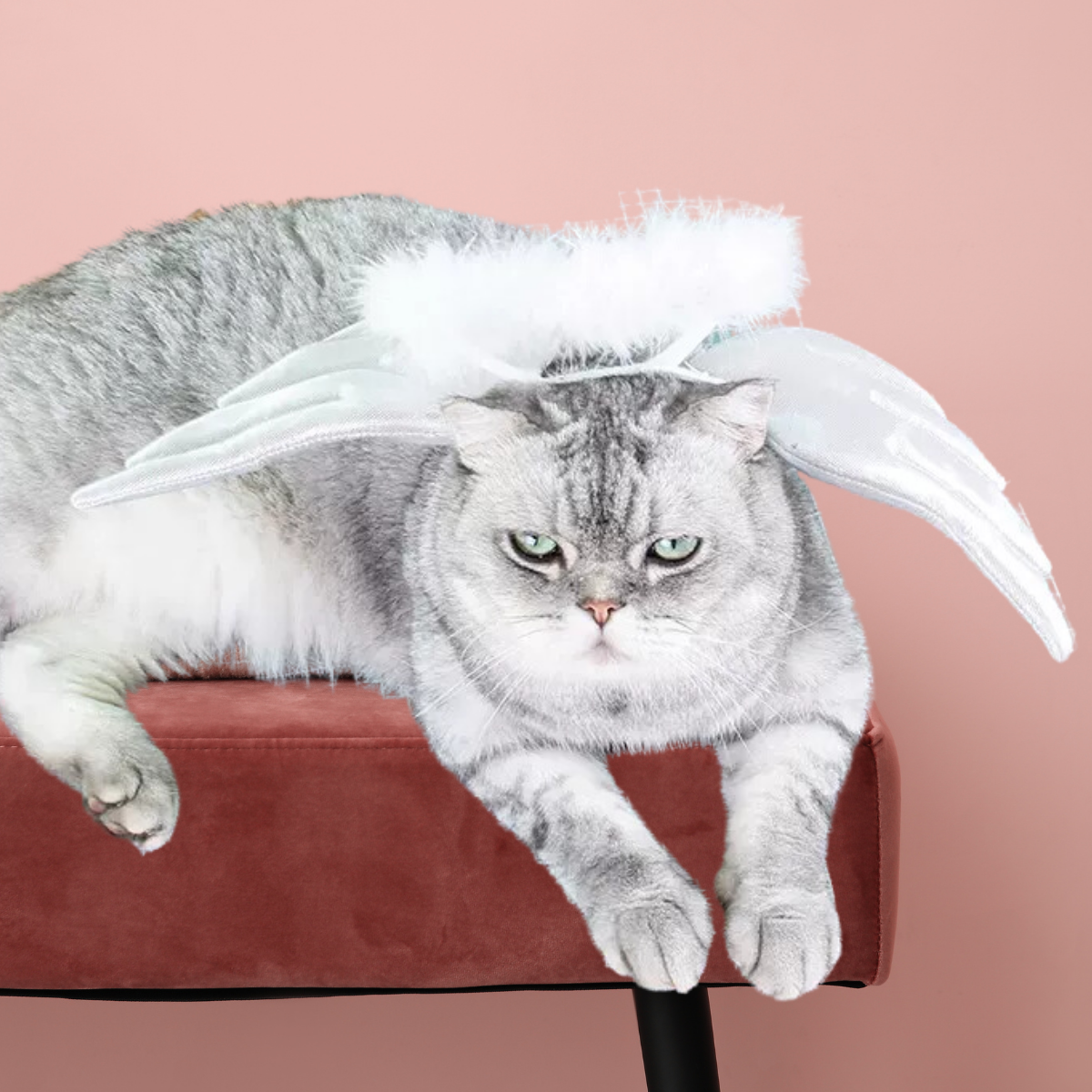 Angel Costume