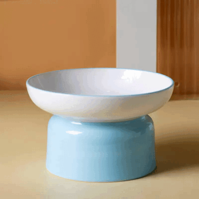 Lotti Ceramic Raised Bowl