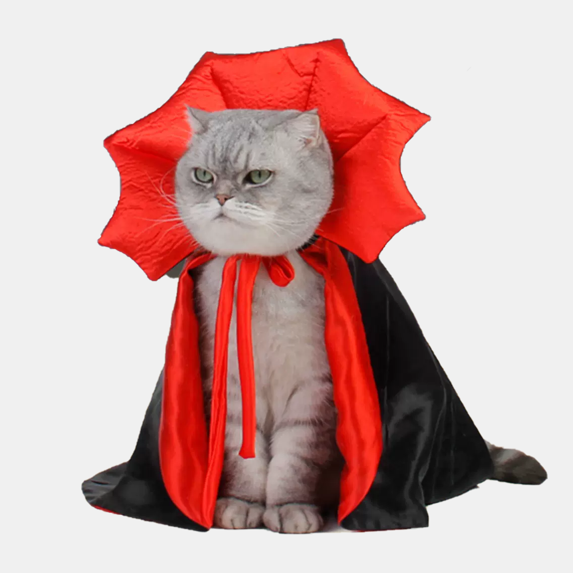 Count Dracula Cape