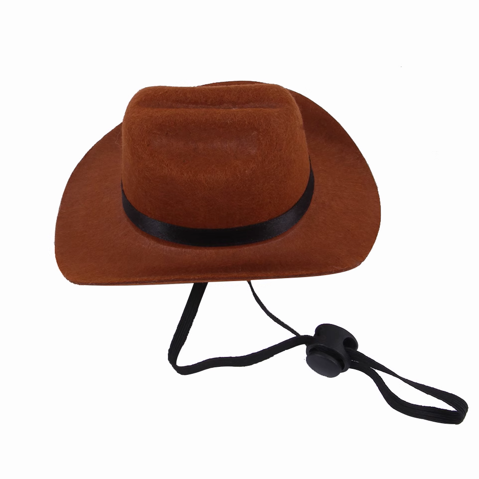 Cowboy Hat