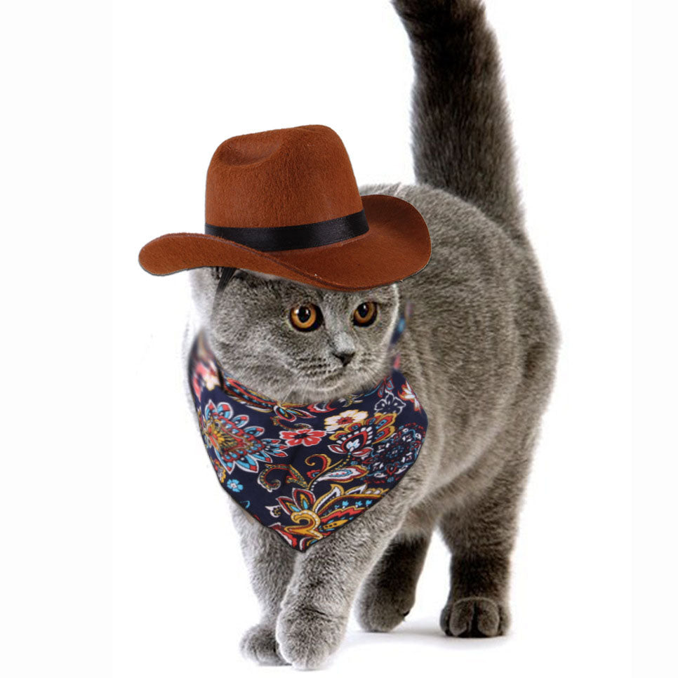 Cowboy Hat