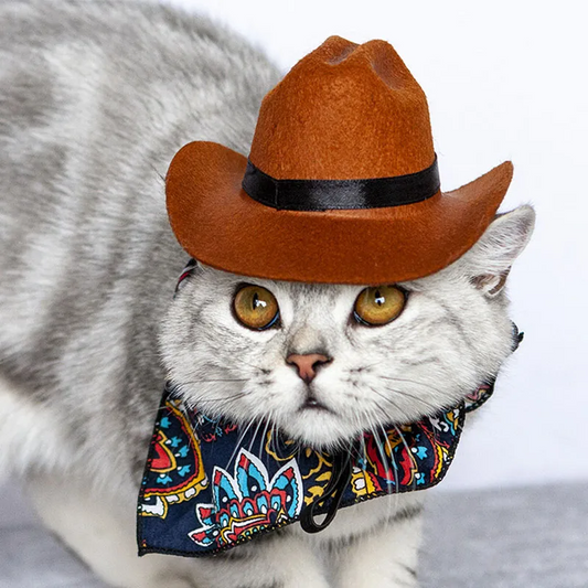 Cowboy Hat