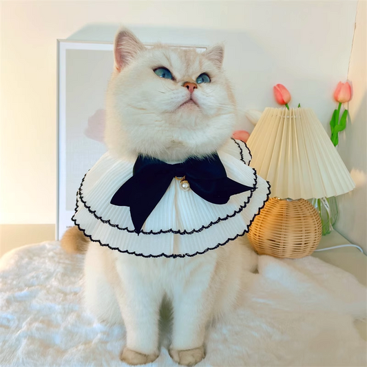 Eloise Cat Bib