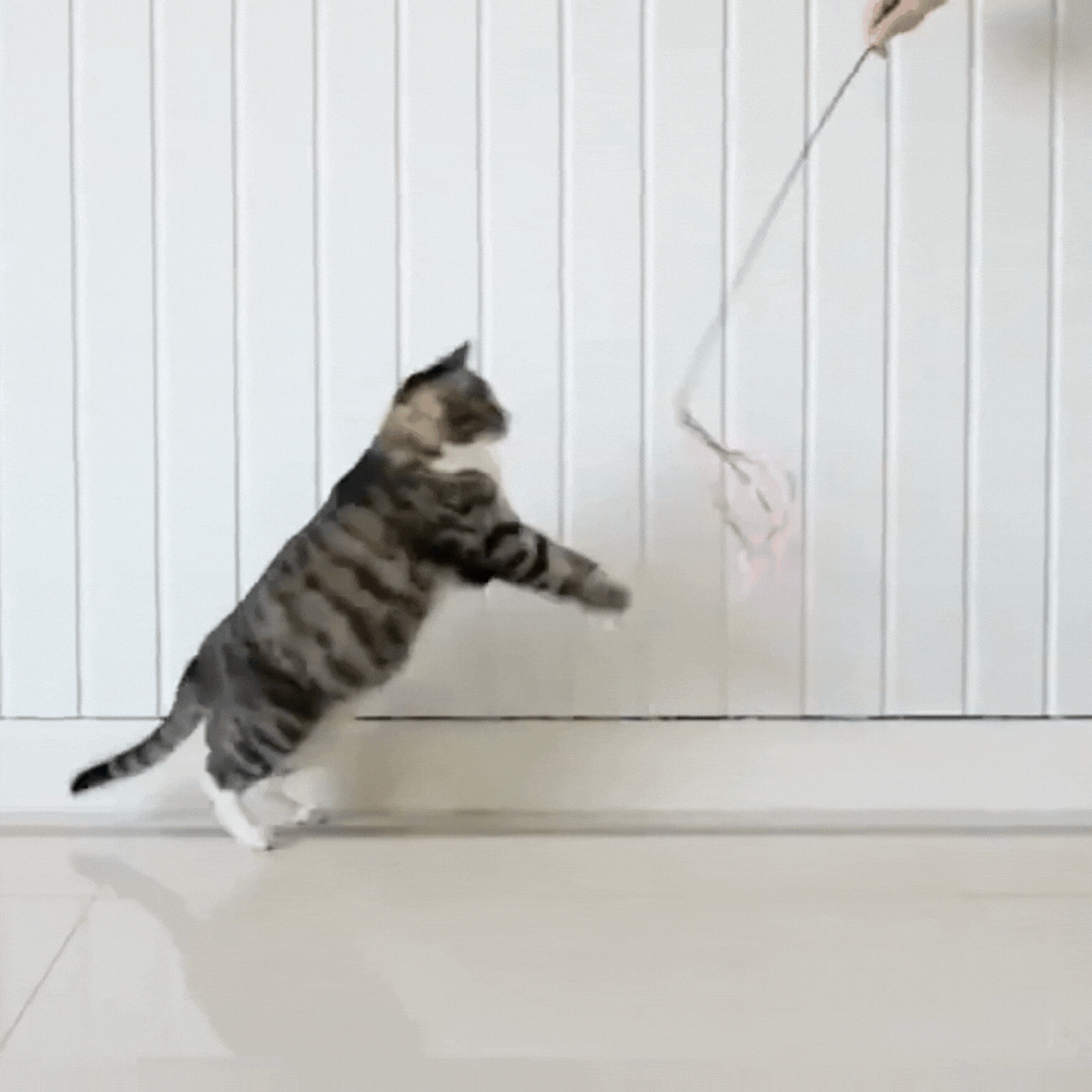 Enchanted Cat Teaser Wand