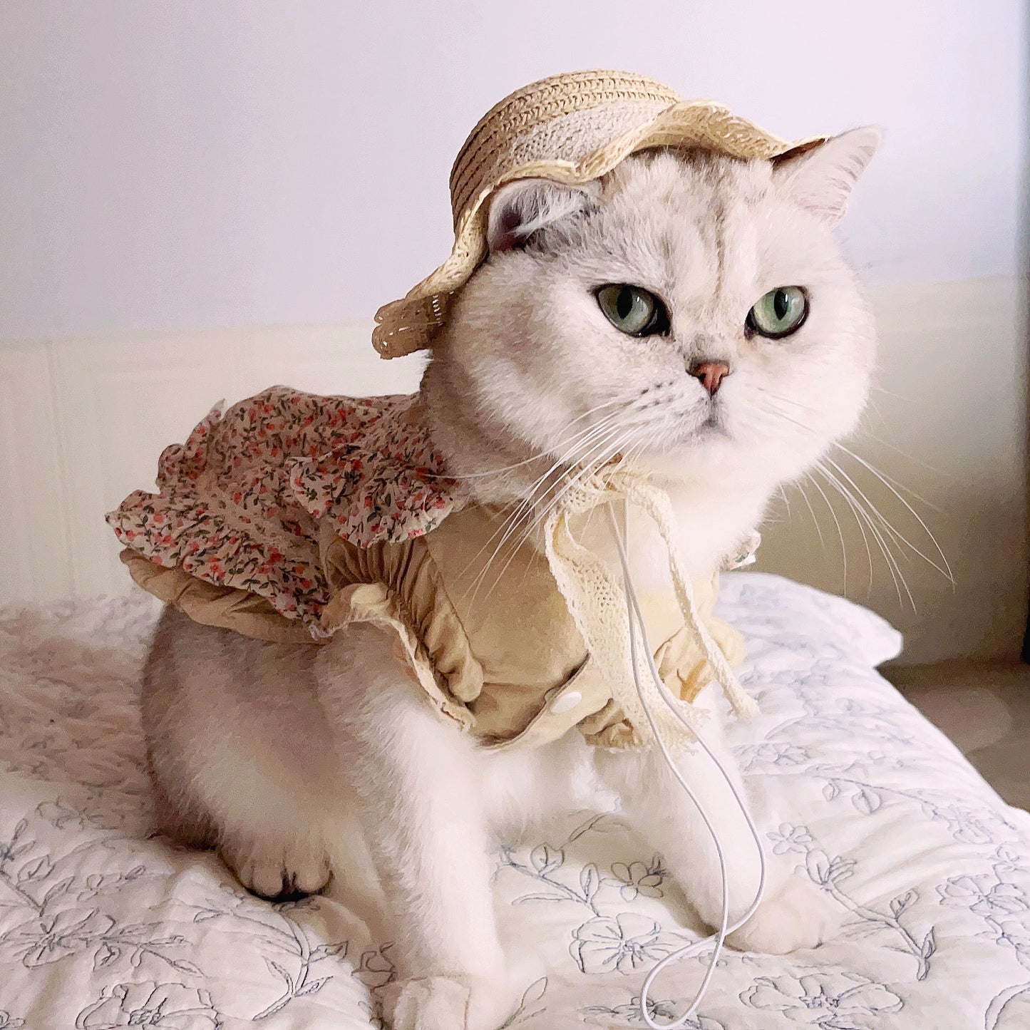 Florentine Straw Hat