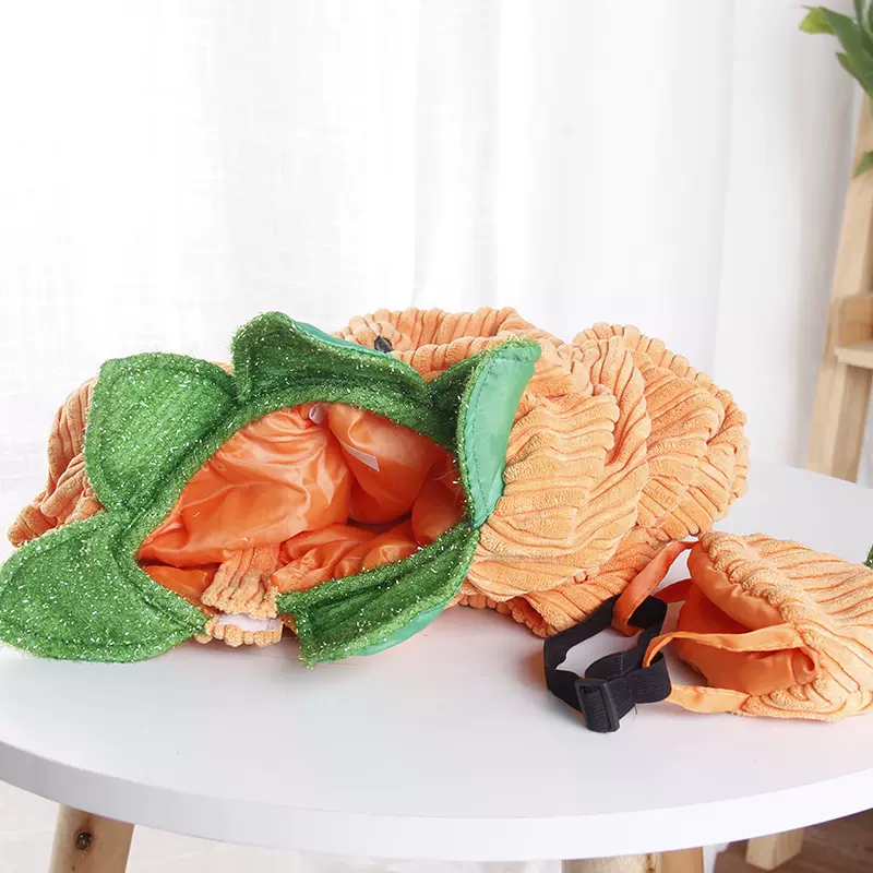 Halloween Pumpkin Costume