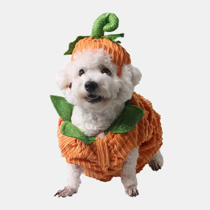 Halloween Pumpkin Costume