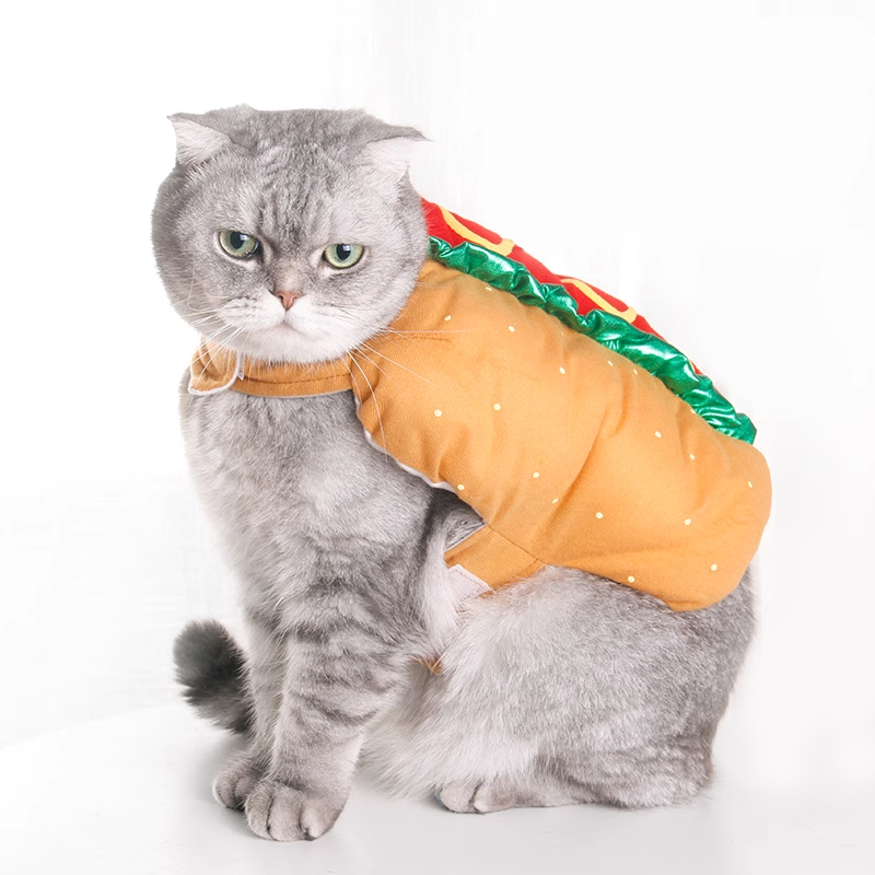 Hotdog Costume