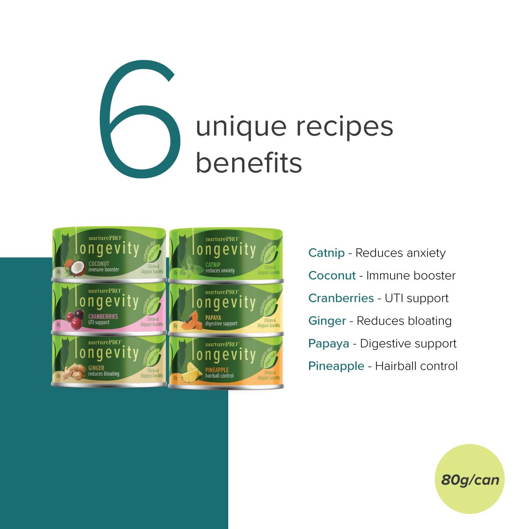 Nurture Pro Cat Food Longevity Festive Box (6 Unique Recipes in 1 Box)