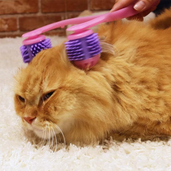 Roller Massager (by Cattyman)