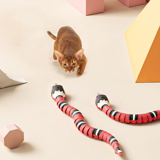 Smart Snake
