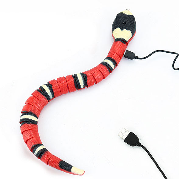 Smart Snake