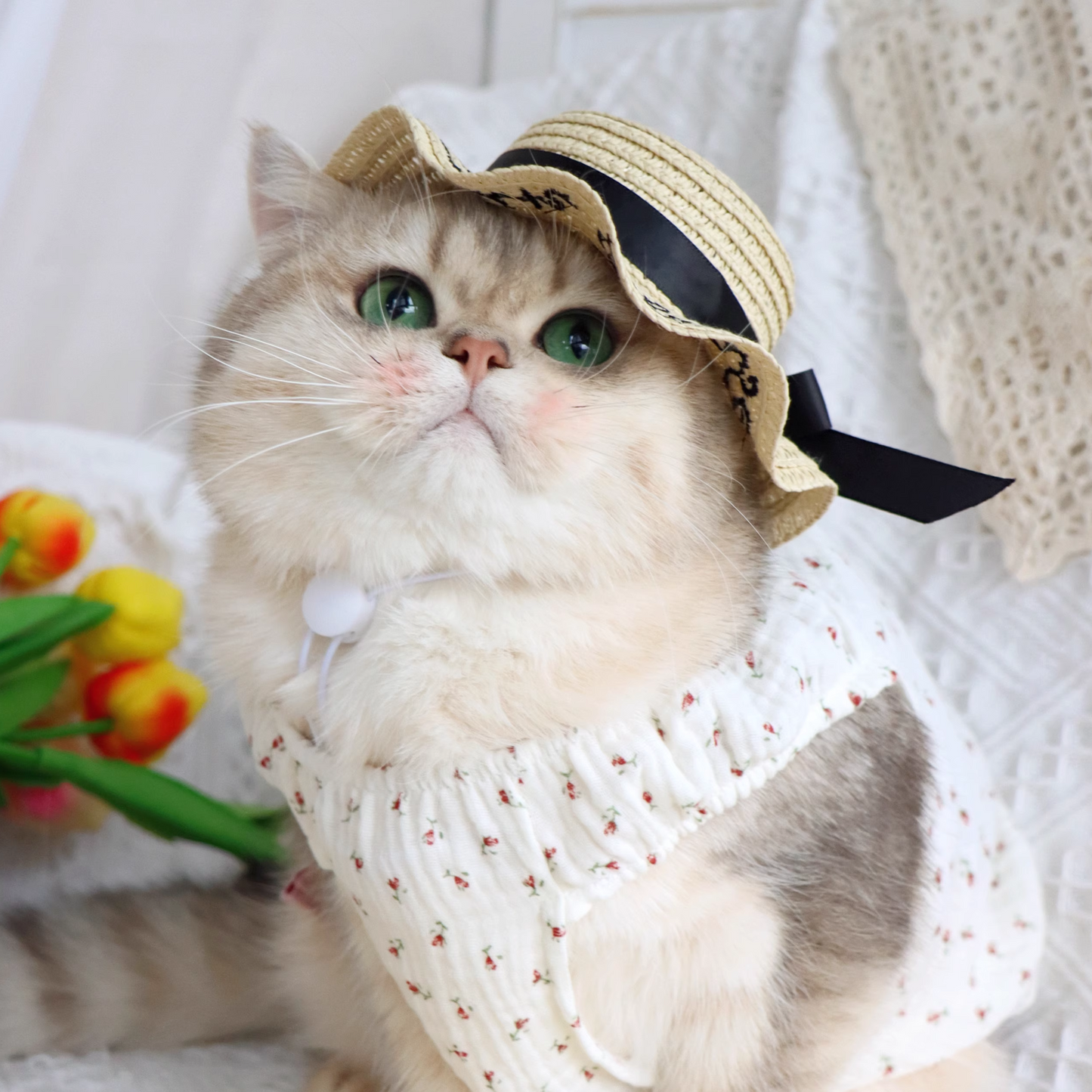 Sun Please Straw Hat