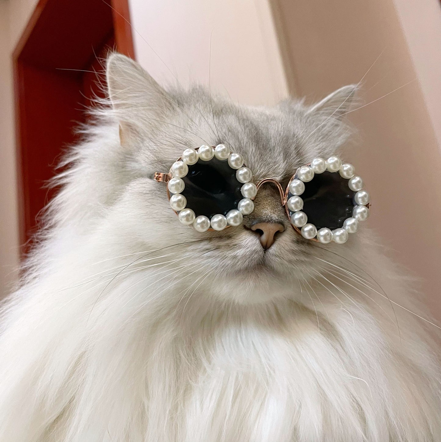 Vintage Pearls Sunglasses