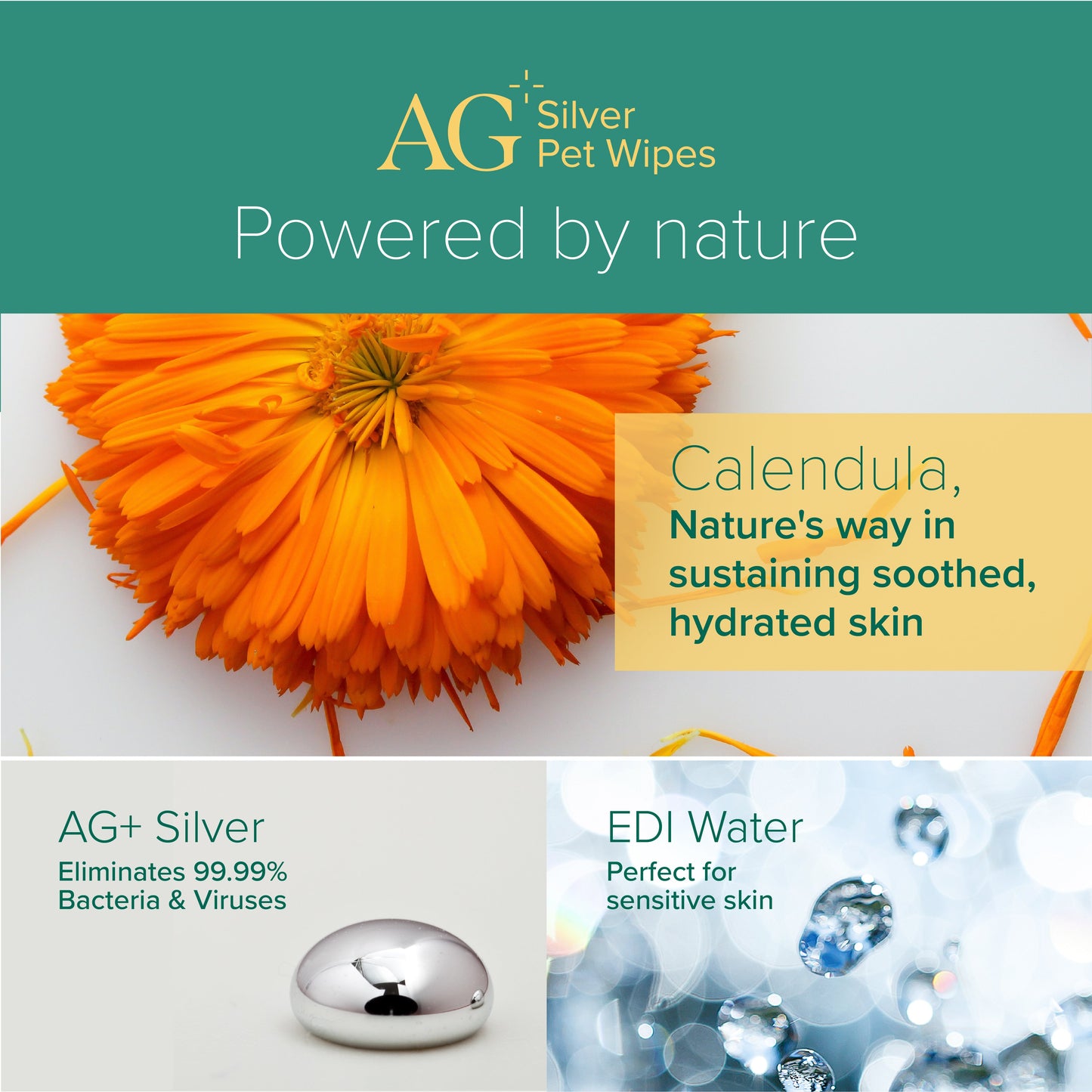 Nurture Pro AG+ Silver Pet Wipes (Lavender)