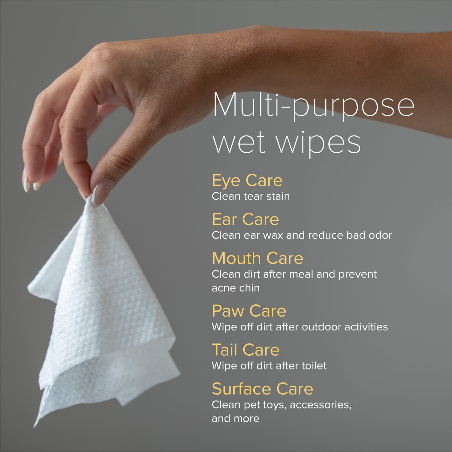 Nurture Pro AG+ Silver Pet Wipes (Unscented)