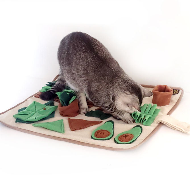 Avo-Cardio Snuffle Mat