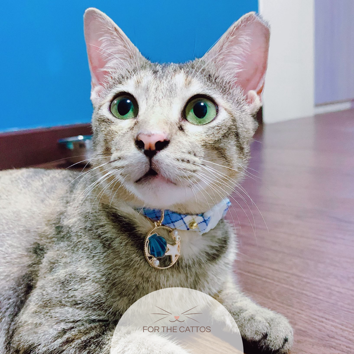 Mermaid Dreams Cat Collar