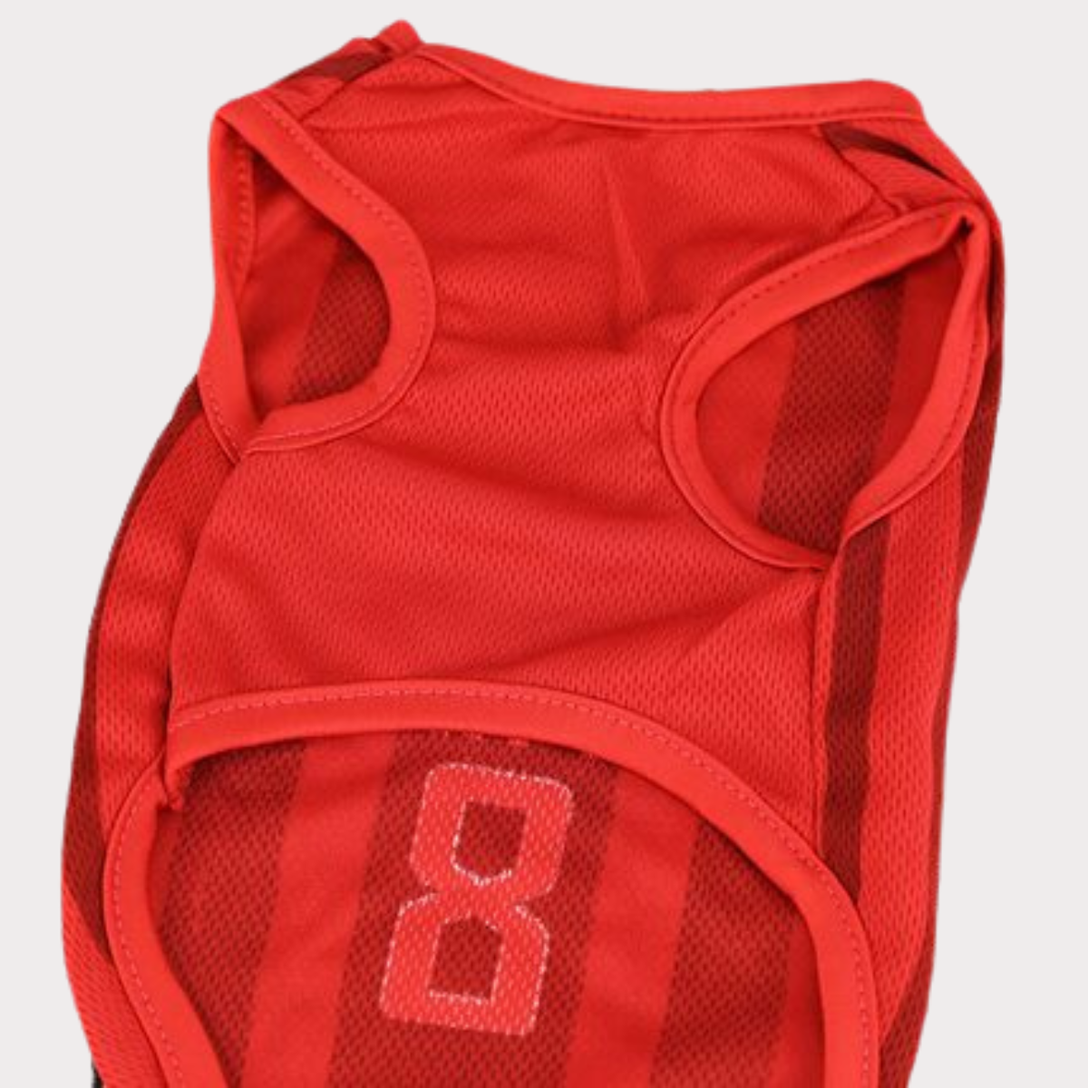 Meow Cup Jersey (Portugal)