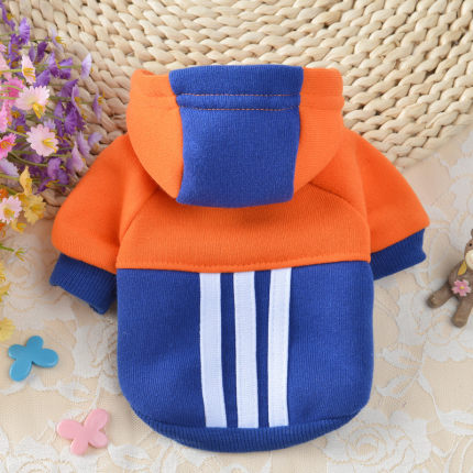 Sporty Hooded Sweater