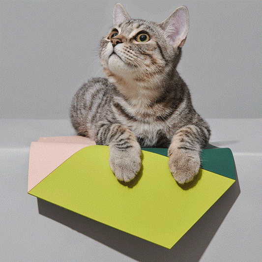 Purrre Feeding Mat - Power Green