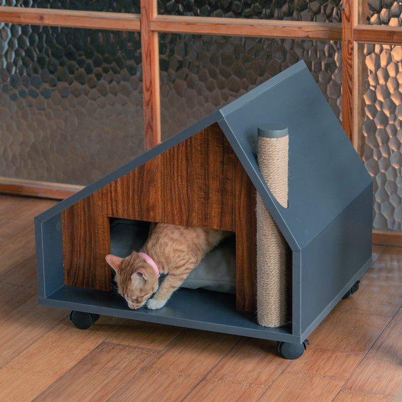 Contemporary Cat House On The Wheels