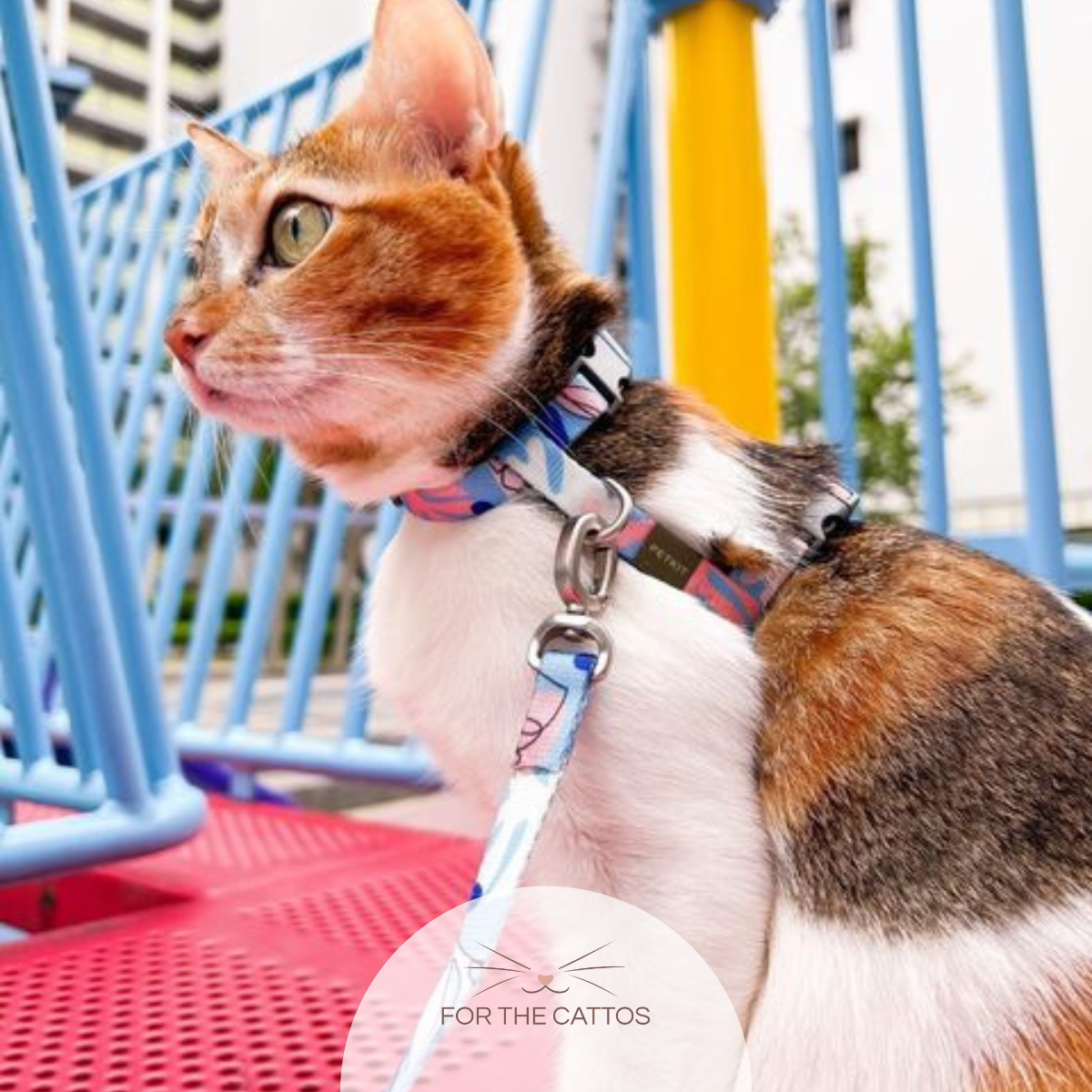 Vivid Cat Harness & Leash (by PETKIT)