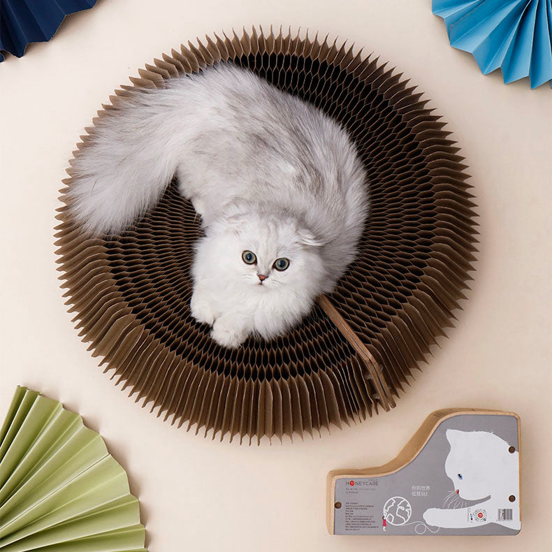 Foldable Multiform Scratcher (by Honeycare)