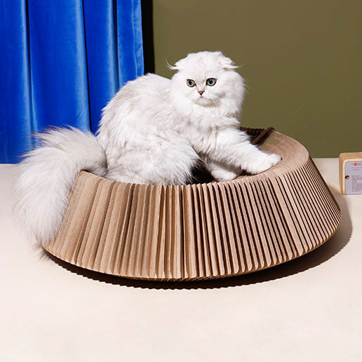 Foldable Multiform Scratcher (by Honeycare)