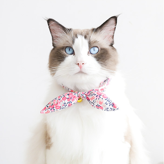 Fuchsia Floral Ribbon Cat Collar