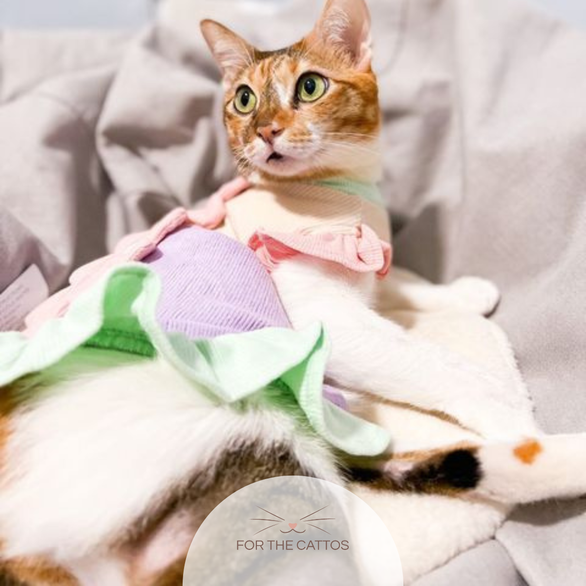 Springtime Ruffle