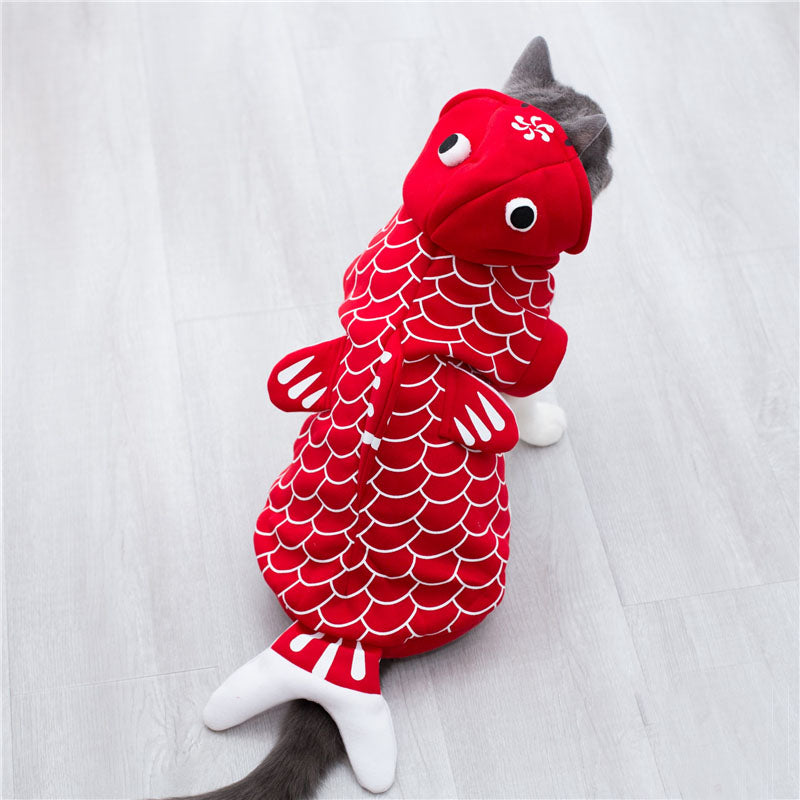 Goldfish Costume