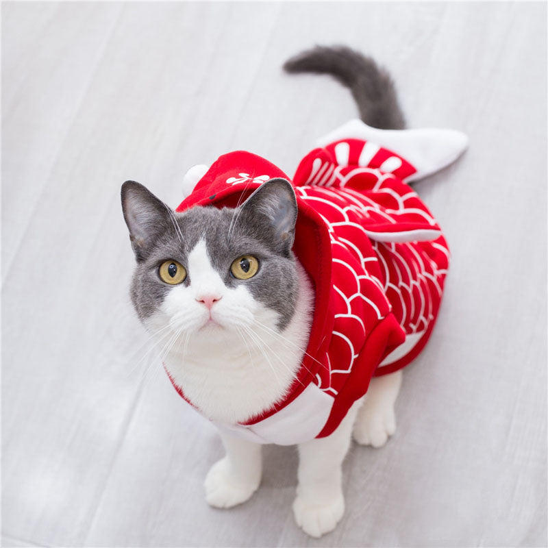 Goldfish Costume