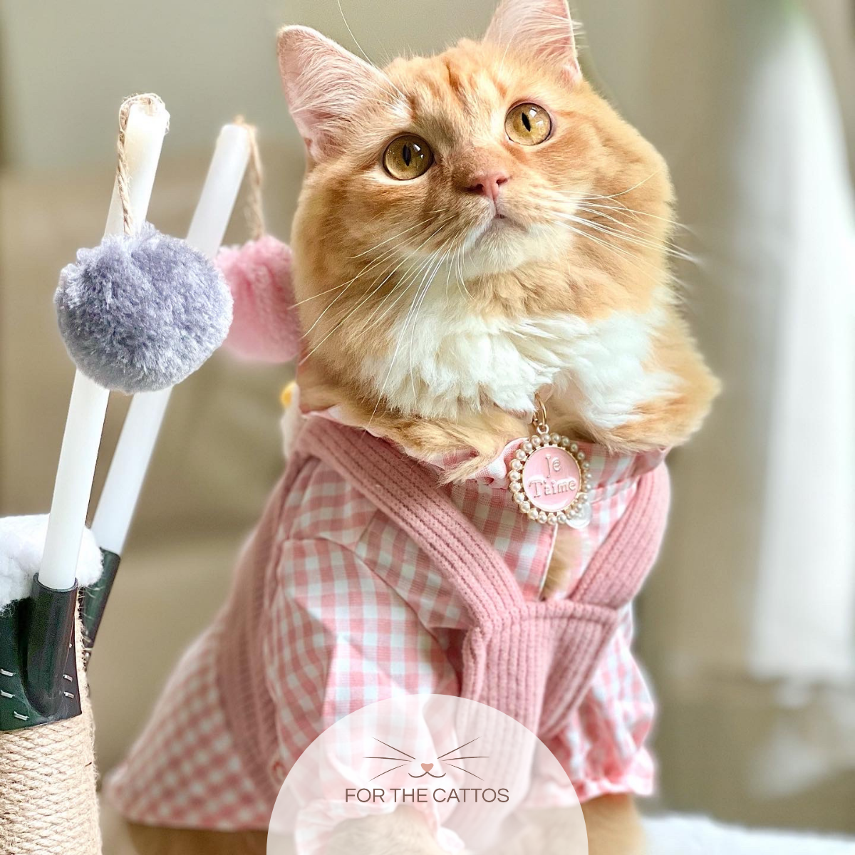 Je T'aime Cat Collar
