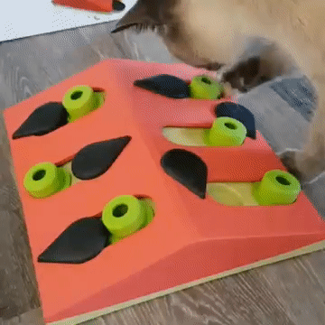 Nina Ottosson Puzzle & Play Melon Madness Cat Puzzle