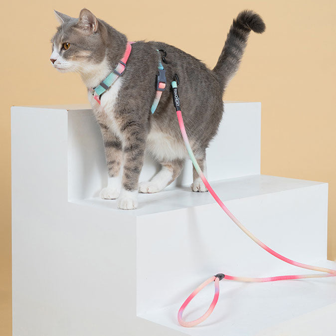 Ombré Cat Harness & Leash (by Touchcat)