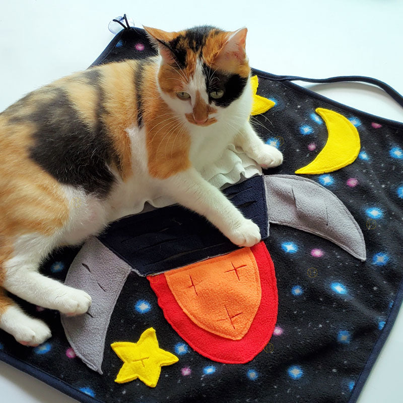 Rocketship Snuffle Mat
