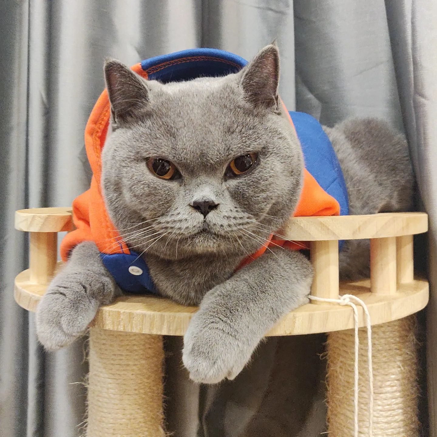 Sporty Hooded Sweater