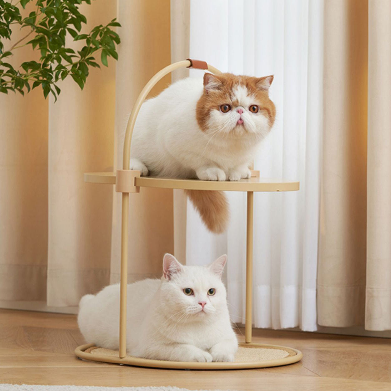 Nook Scratching Board & End Table