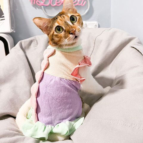 Springtime Ruffle