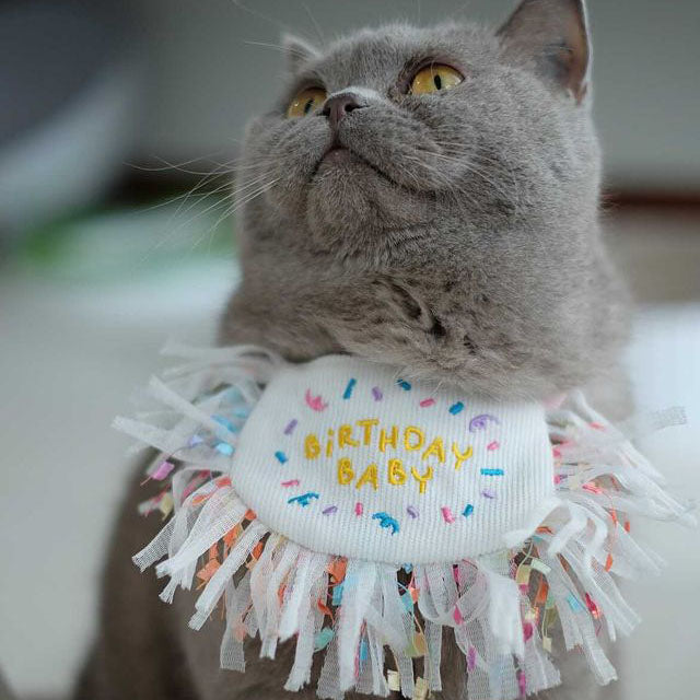 Birthday Pawty Bib