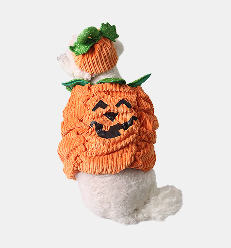 Halloween Pumpkin Costume