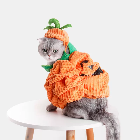 Halloween Pumpkin Costume