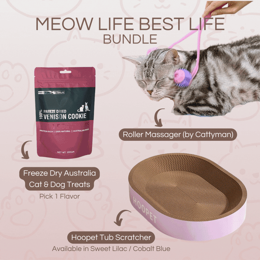 Meow Life Best Life Bundle