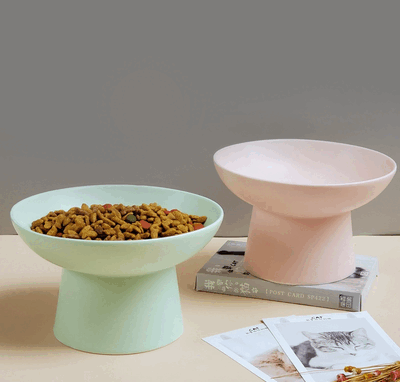 Lilou Ceramic Raised Bowl