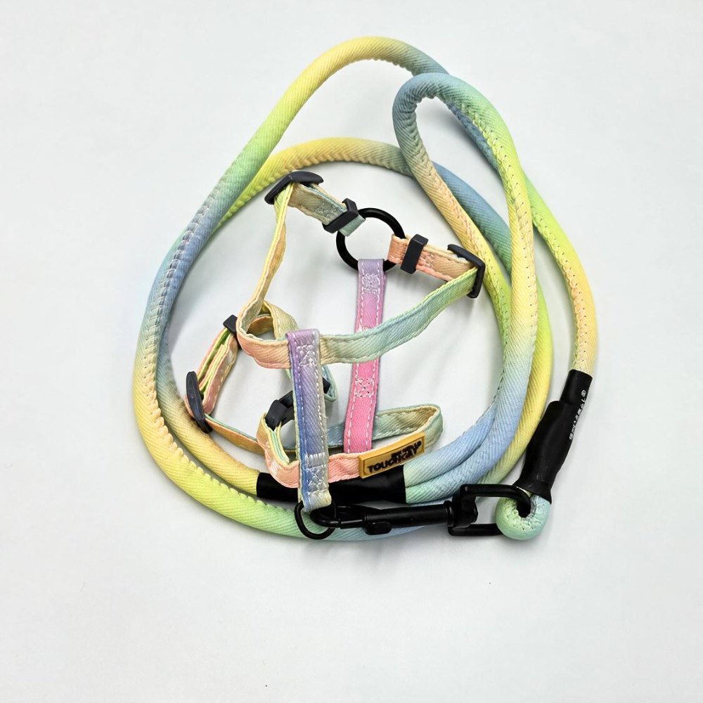 Ombré Cat Harness & Leash (by Touchcat)