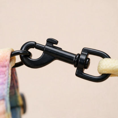 Ombré Cat Harness & Leash (by Touchcat)