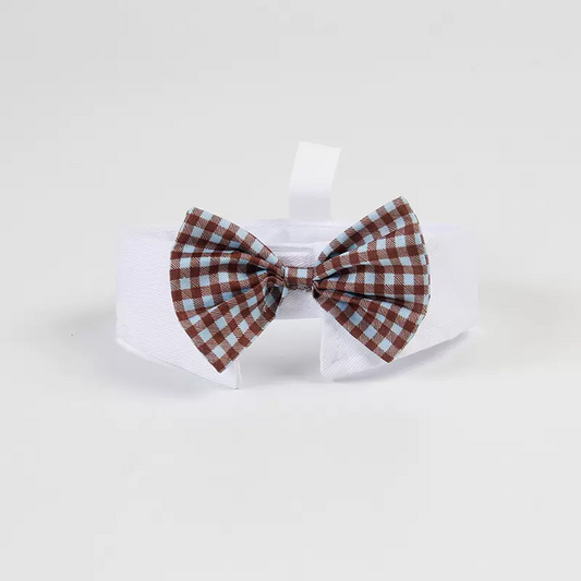 The Snazzy Bow