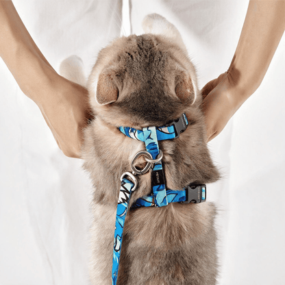 Graffiti Cat Harness & Leash (by PETKIT)